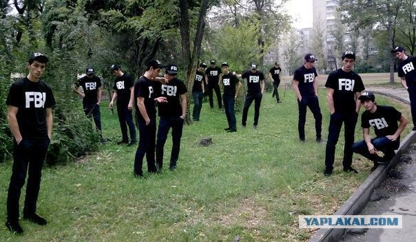 В Омске догхантеры отравили собак, гулявших с хозяевами