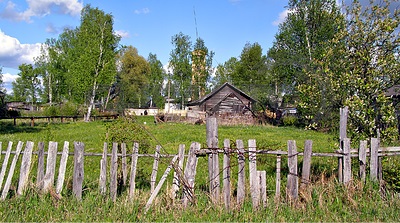 Люди! Откуда в ваших сердцах столько жестокости?