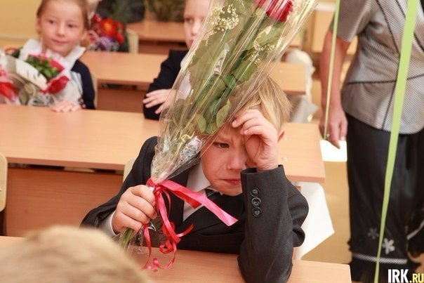 Немного картинок и гифок.