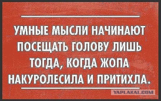 День открытых дверей в палате №6