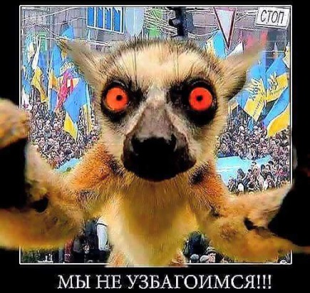 Парень с Майдана стоит за отмену виз