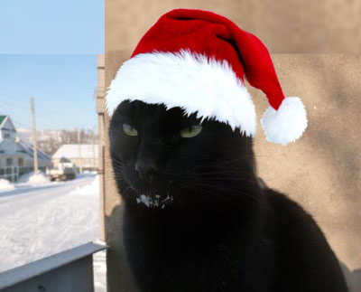 Яповцы, оновогоживайтесь!