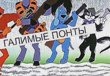 Звездные авто: на каких машинах ездят знаменитости