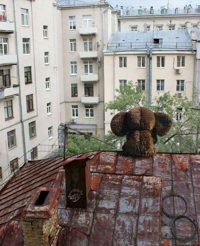 Странные кадры