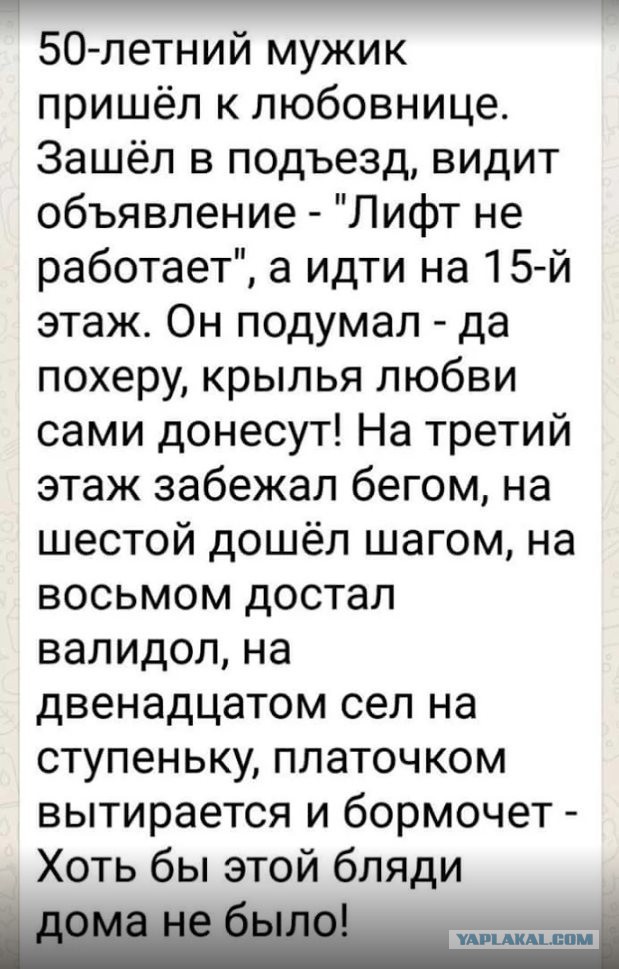 Картинки в черных рамках с подписями