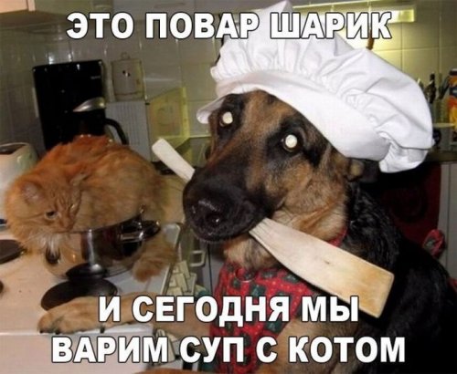 Картинки с буквами и без.