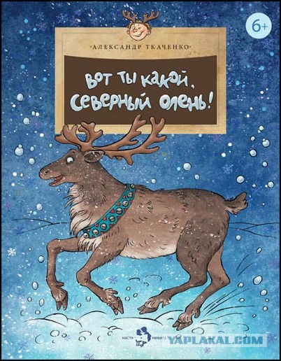 Ищет жену
