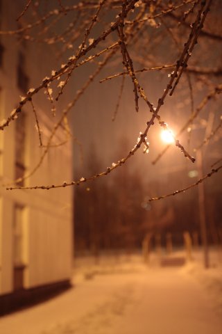 Снегопад в Мурманской области потушил все пожары.