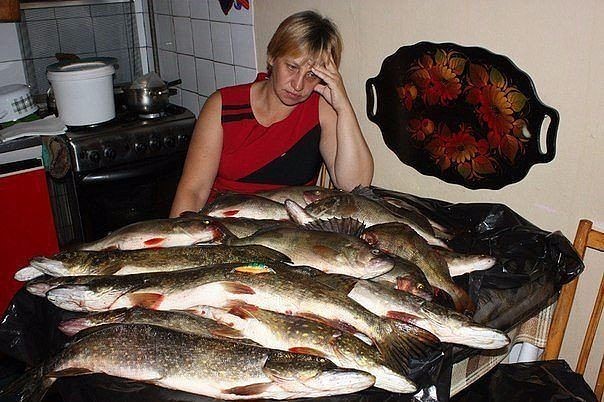 Не все на западе могут позволить себе мясо.