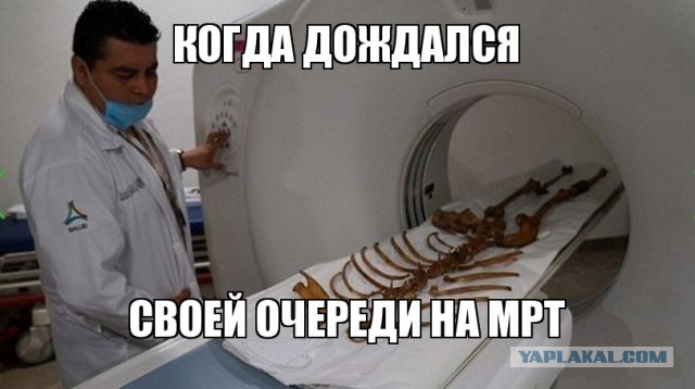 Приколы в стиле "регресс"