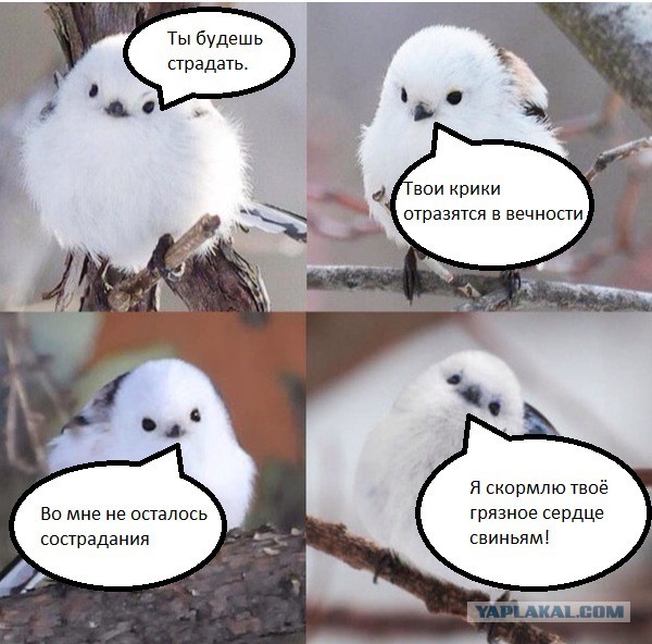 Подборка интересных и веселых картинок