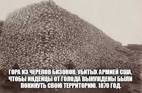 Снимки категории "Теперь ты видел всё".