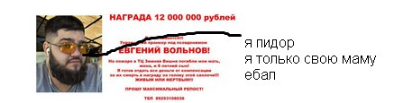 Вольнов - убит!