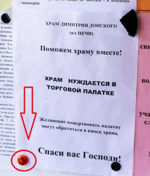 Перлы