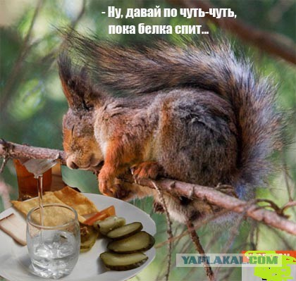 Чем отличается алкоголик от пьяницы: в чём разница?