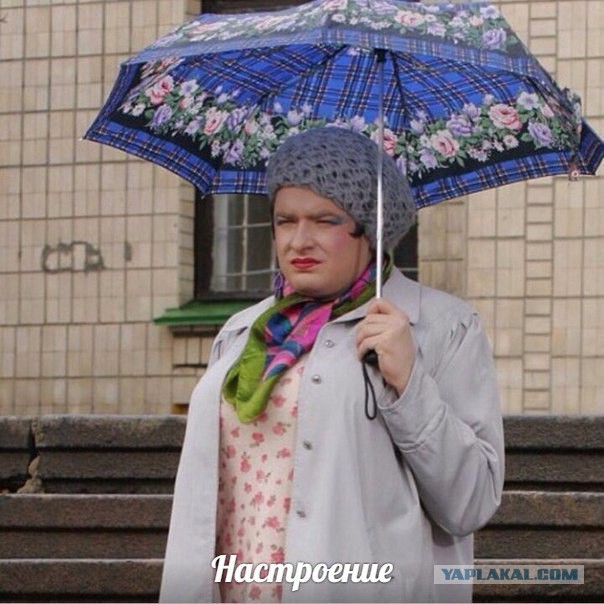 К красоте привыкаешь, а вот к тупости привыкнуть просто невозможно