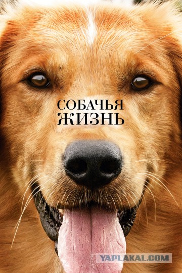 20 фильмов, которые дарят желание жить и творить добро