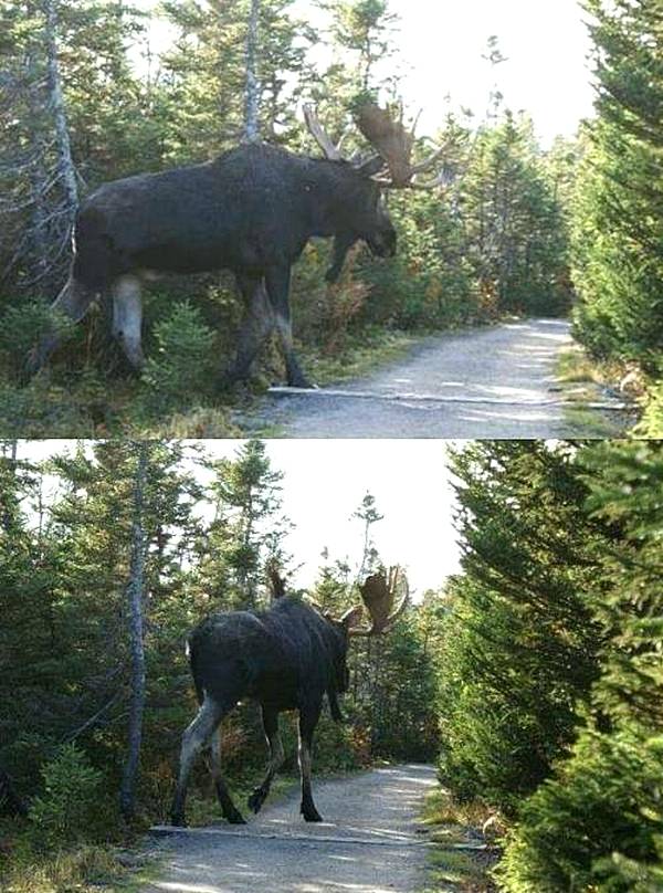 Фотокадротека