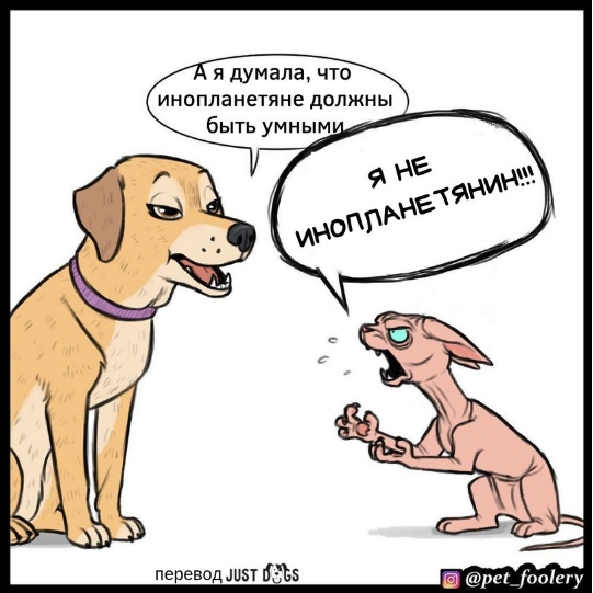 Кто, когда и зачем приручил первую кошку?