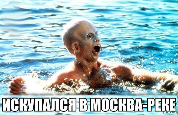 Московские власти призвали горожан временно отказаться от ловли осетров в Москва-реке