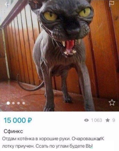 Разные и без темы