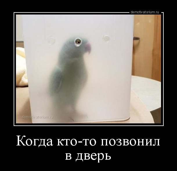 Картинки всякие