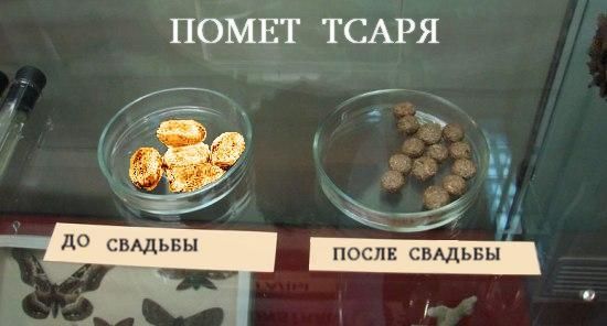 Удивительное рядом