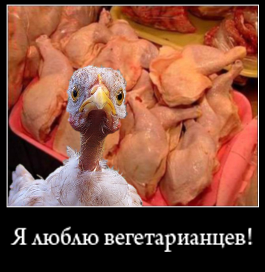 Фотожаба: Цыпа