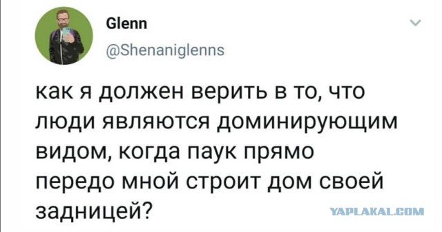 Юмор в картинках 9.11.20