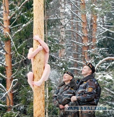 Фотожаба: Что увидели омоновцы?