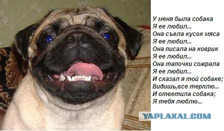 Ушла за радугу подруга, Чика...