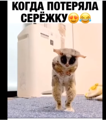 Потерял ключик на 10?