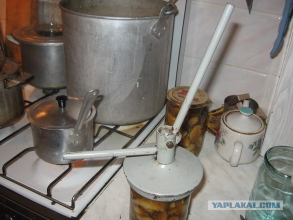 Грибы маринованые