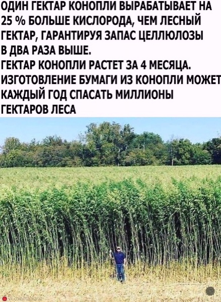 Картинки и мемы для настроения 03.08.2021