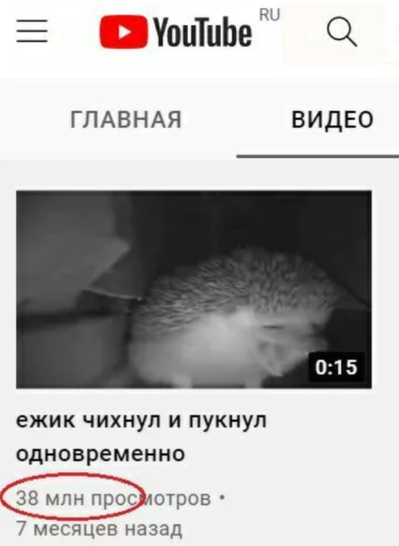 Так себе картинки 19.09.21