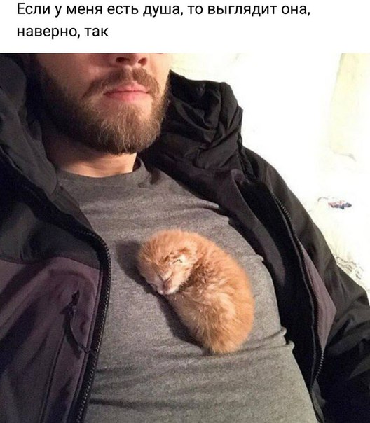 Большой секрет айтишников