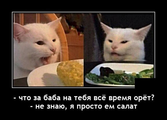 Всякие разные картинки 22.11.2021