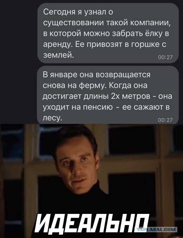 Чуток картинок 16.12.21