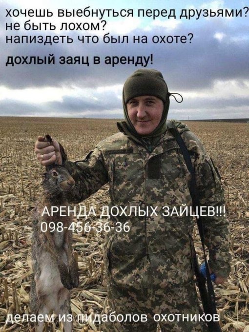 Картинки и мемы