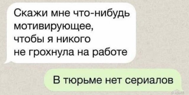Весёлый полтишок 13.03.22