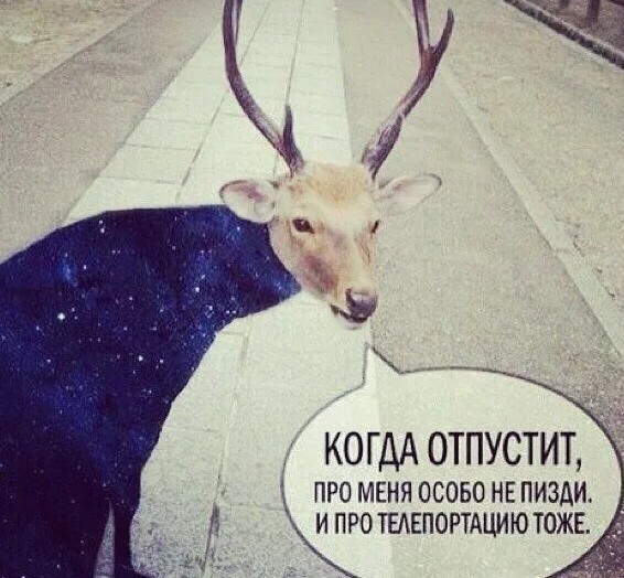 Мы точно не в матрице живём?