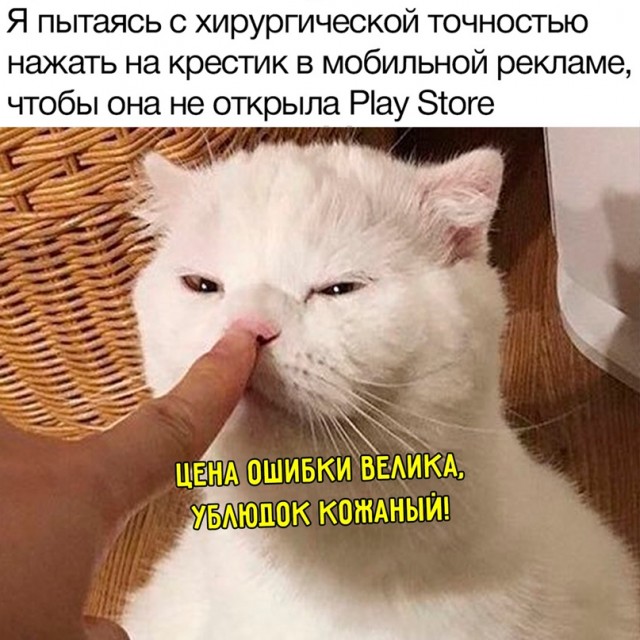 Немного картинок для настроения - 112