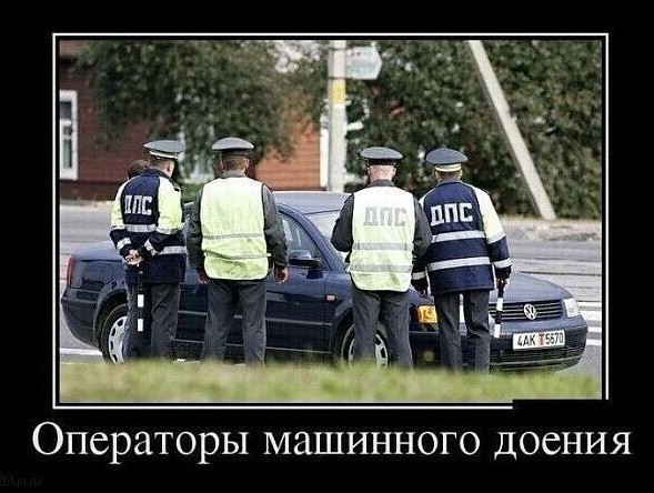 Спокойствие против наглости