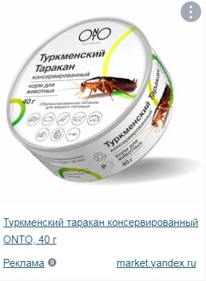 "Немцы лучше замёрзнут, чем вновь капитулируют перед русскими!" — интервью