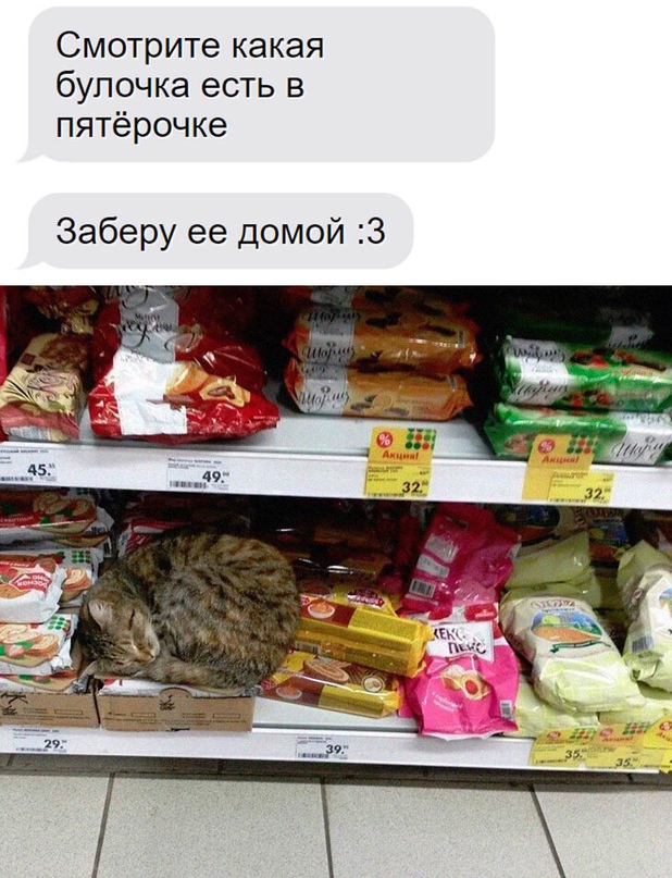 Картинки и мемы, выходные продолжаются