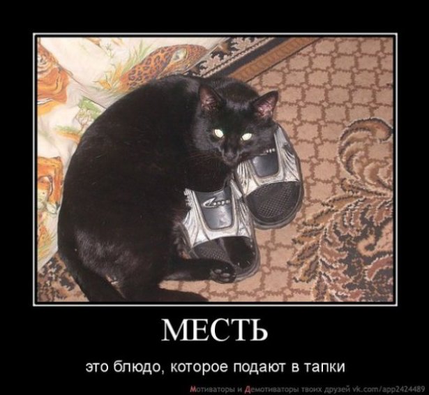 Горячо сцук