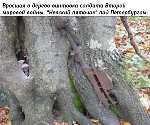 Небольшая подборка исторических фото (02.08)
