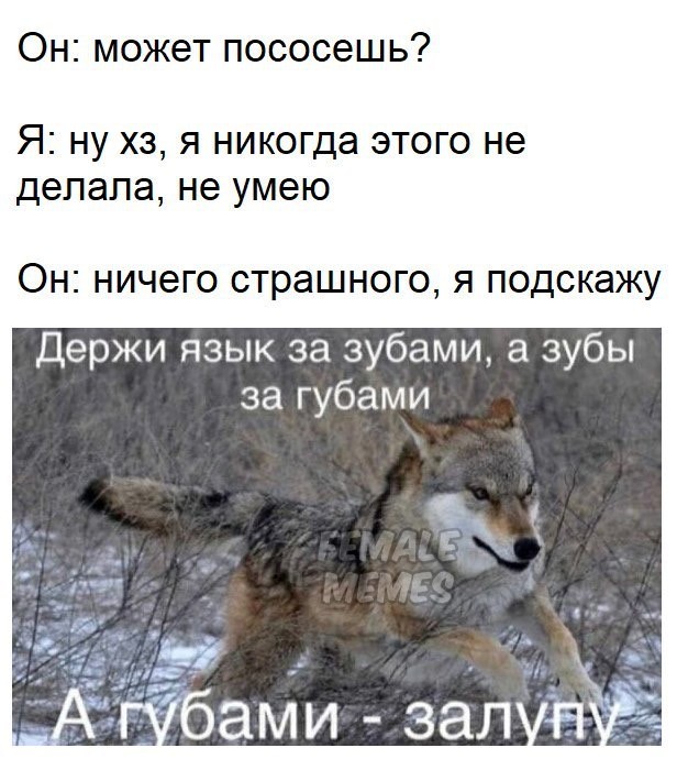 Отряд быстрого деградирования