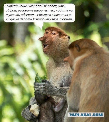 "Прямая линия" Путина 25.04.2013г.