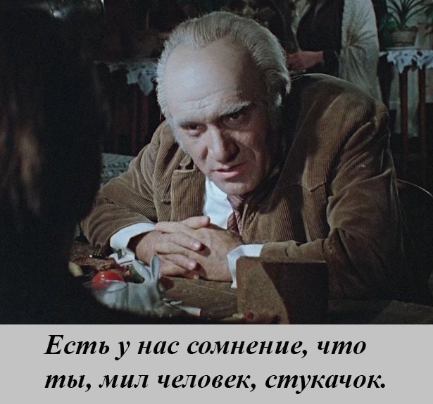 Из московской библиотеки выгнали кота после доноса пенсионера, которому заведующая запретила выпивать в зале